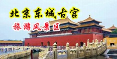 女人野战高潮迭起视频中国北京-东城古宫旅游风景区